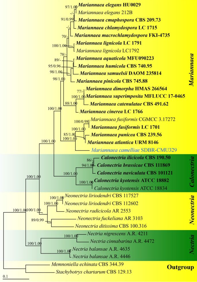 figure 135