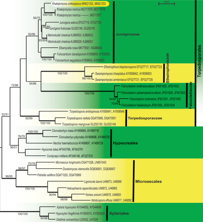 figure 150