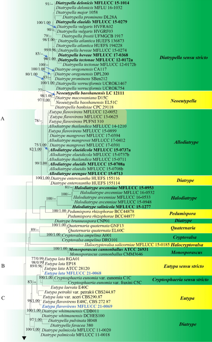 figure 153