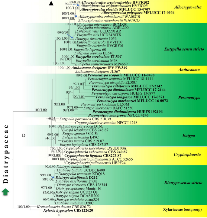 figure 153