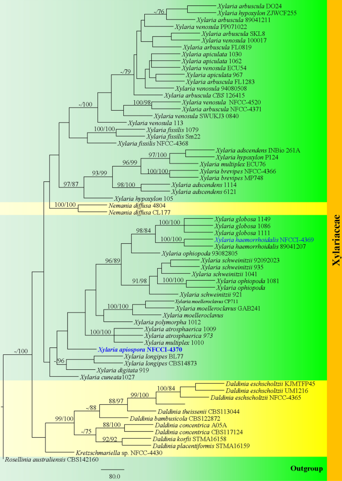 figure 156