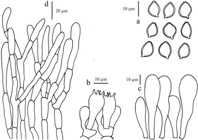 figure 162