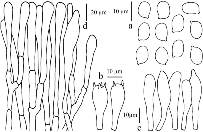 figure 164