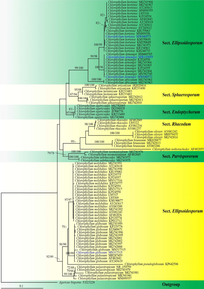 figure 165