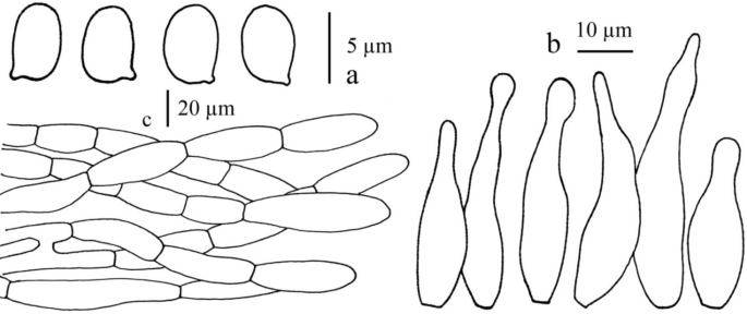 figure 169