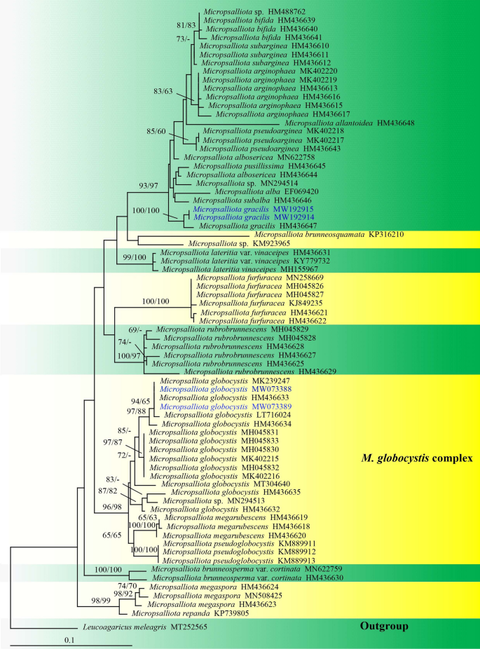 figure 170