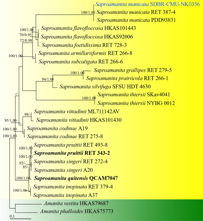 figure 175