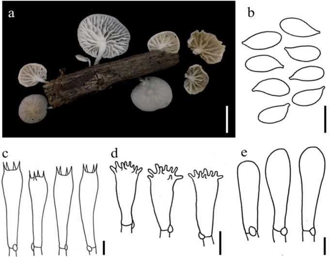 figure 198