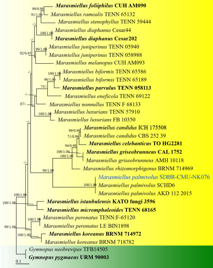 figure 199