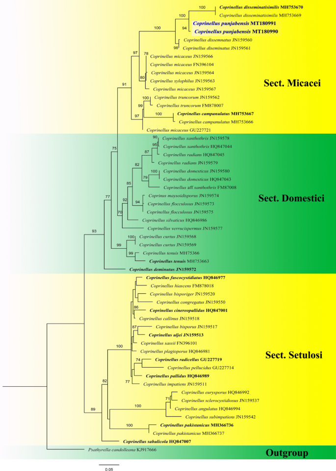 figure 201