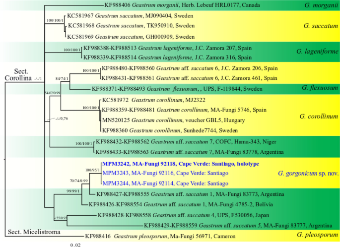 figure 203