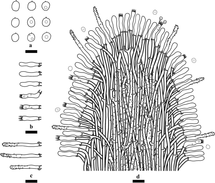 figure 207