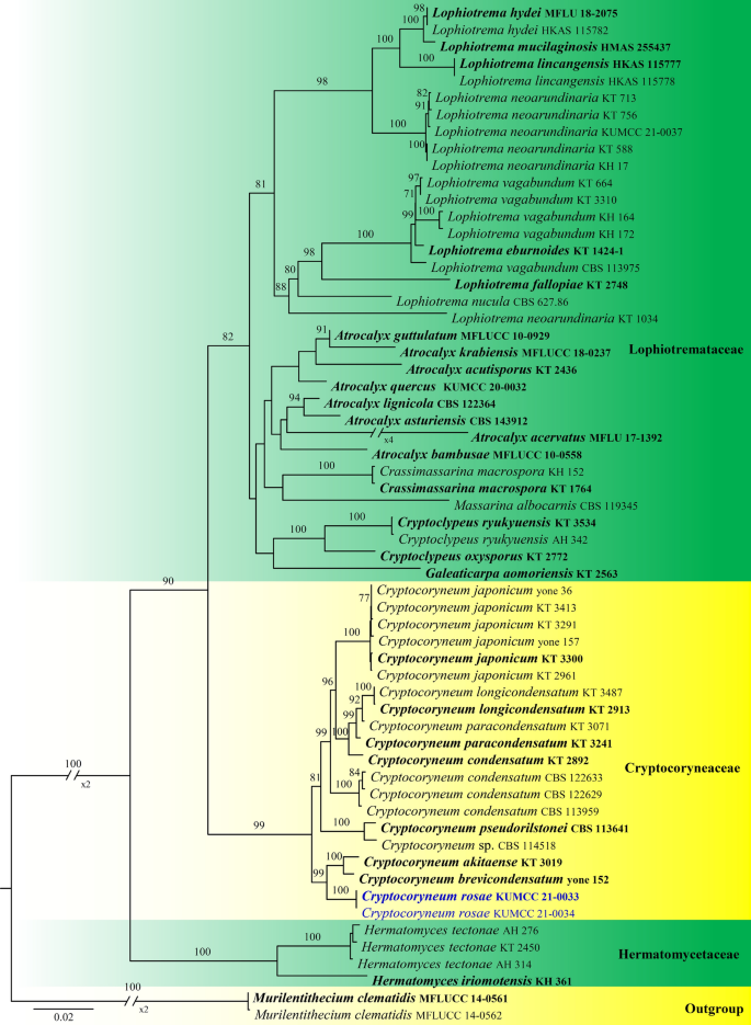 figure 20