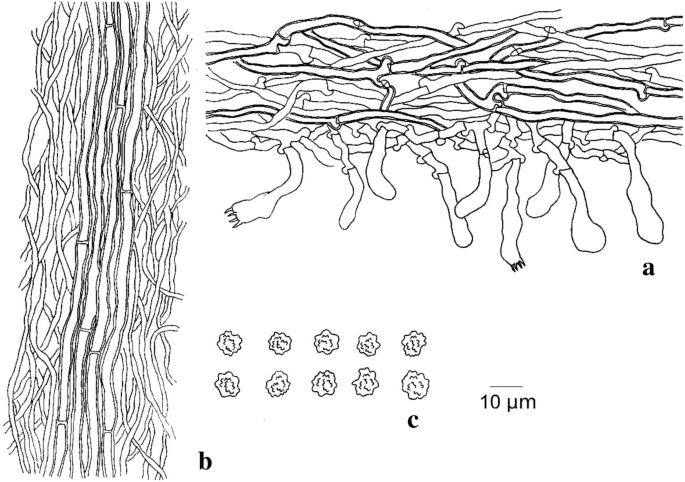 figure 211