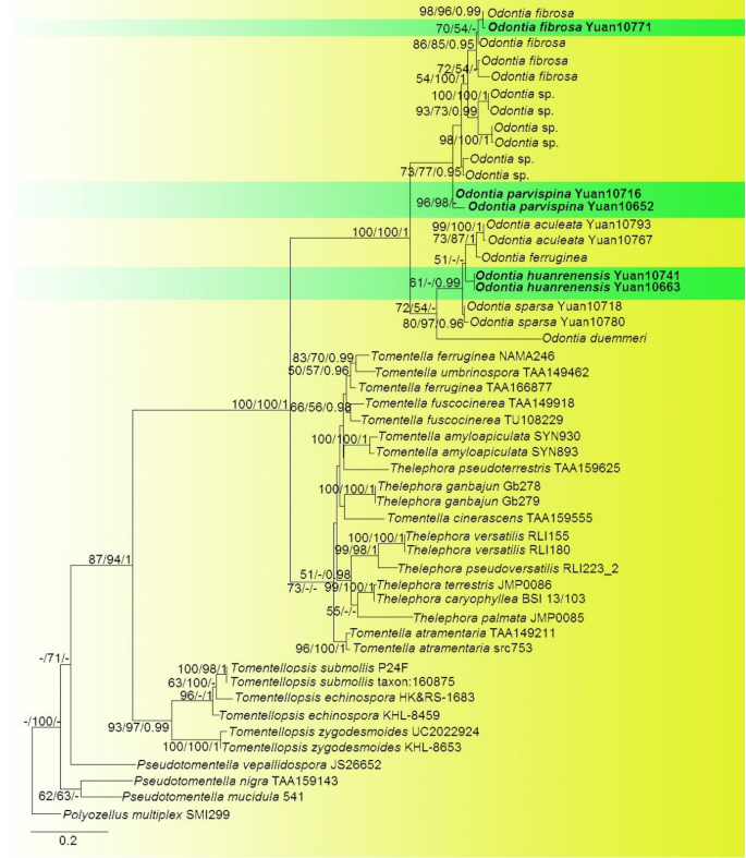 figure 215