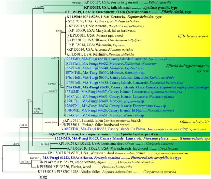 figure 219