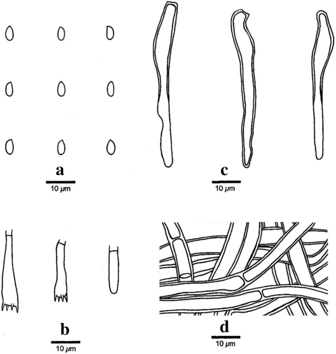 figure 220