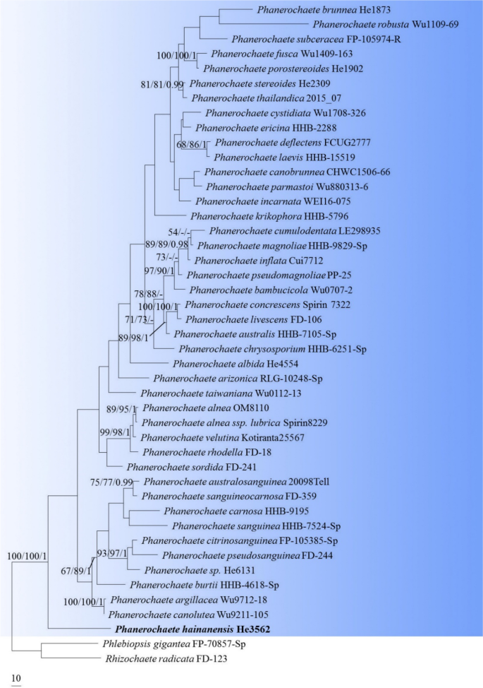 figure 221