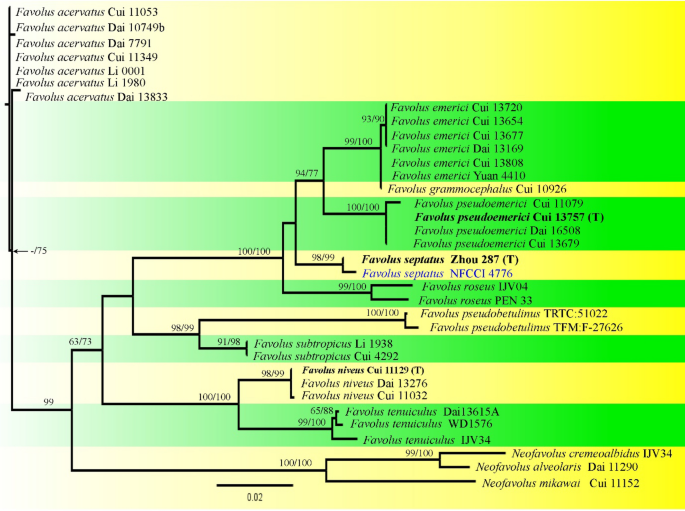 figure 223