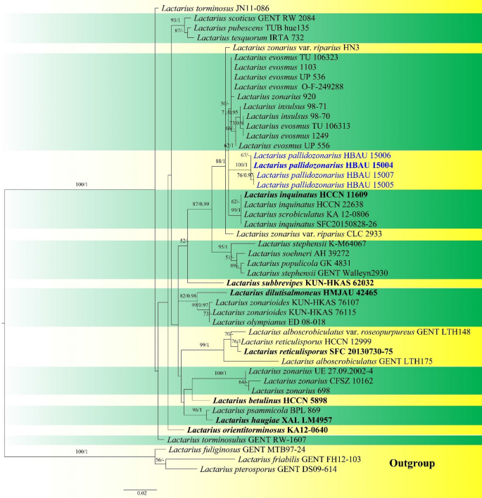 figure 225