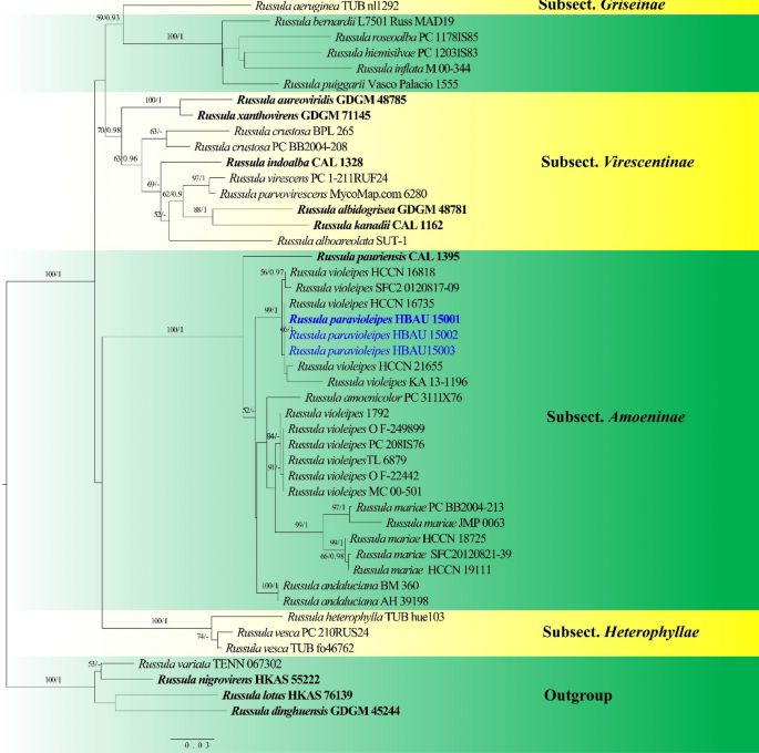 figure 227