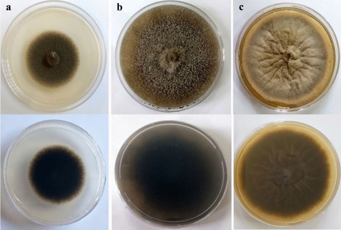 figure 22