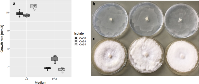 figure 232