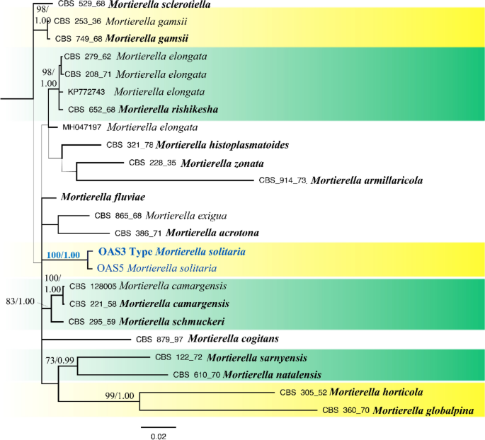 figure 234