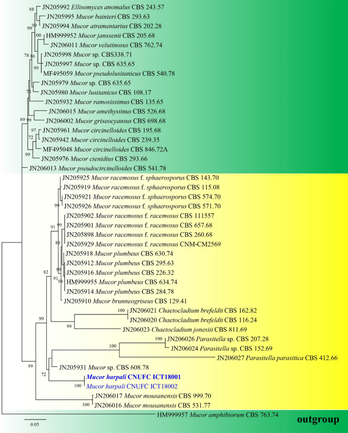 figure 236