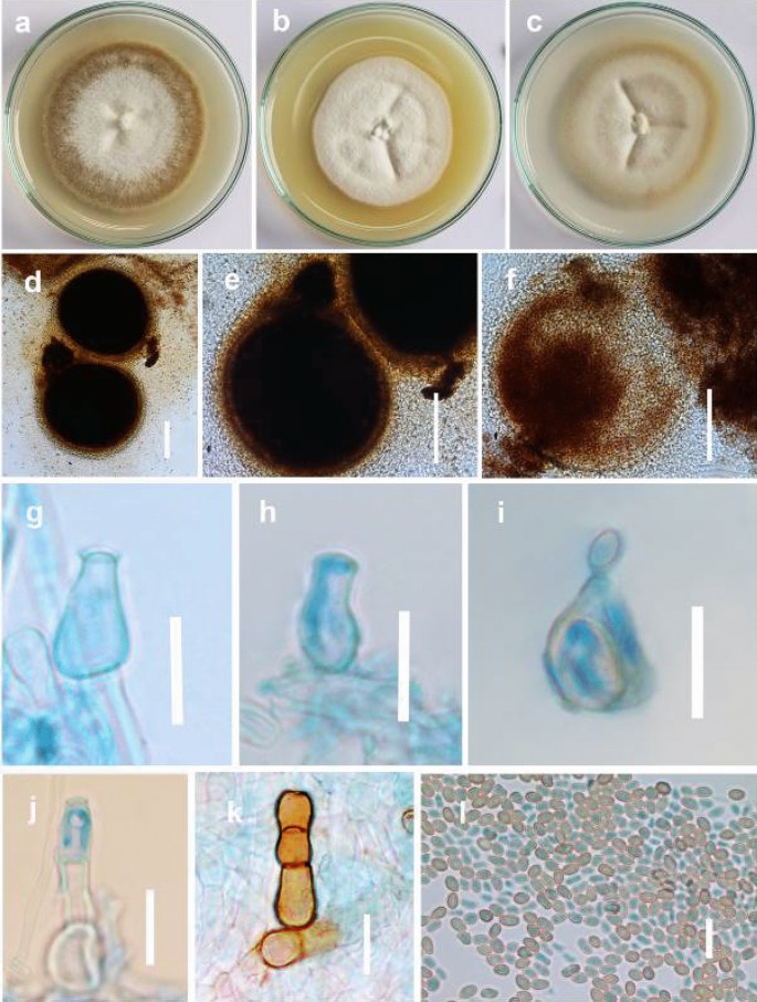 figure 26