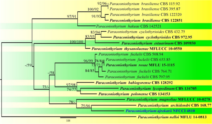 figure 27