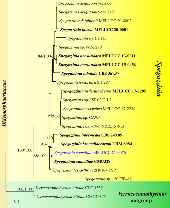 figure 29