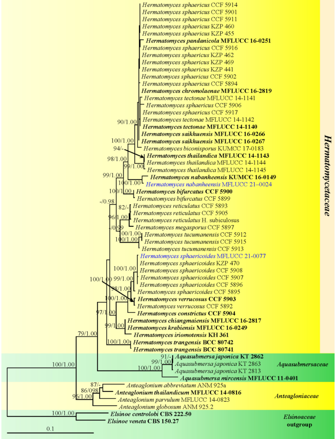 figure 32