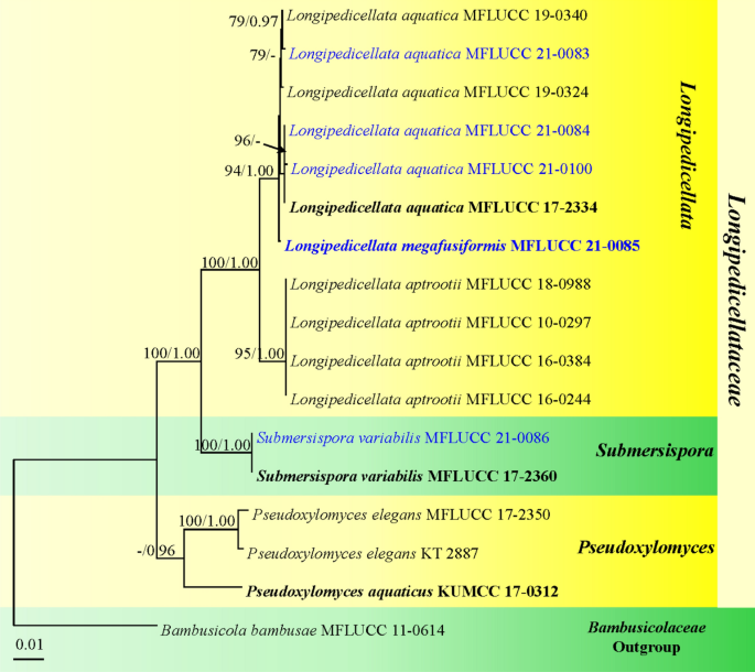 figure 41