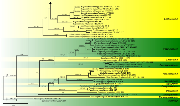 figure 44