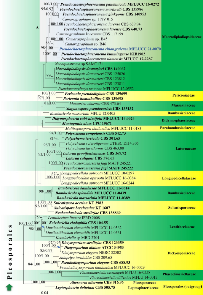 figure 52