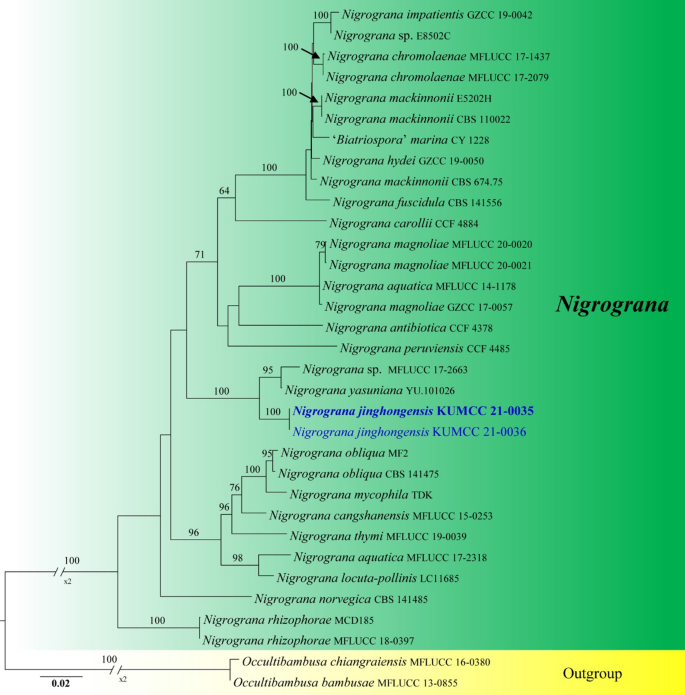 figure 56