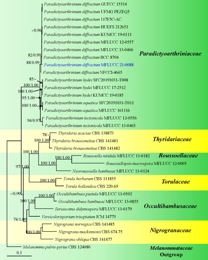 figure 60