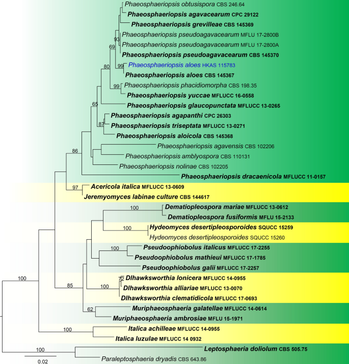 figure 64