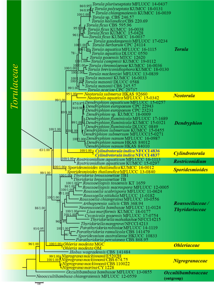 figure 76