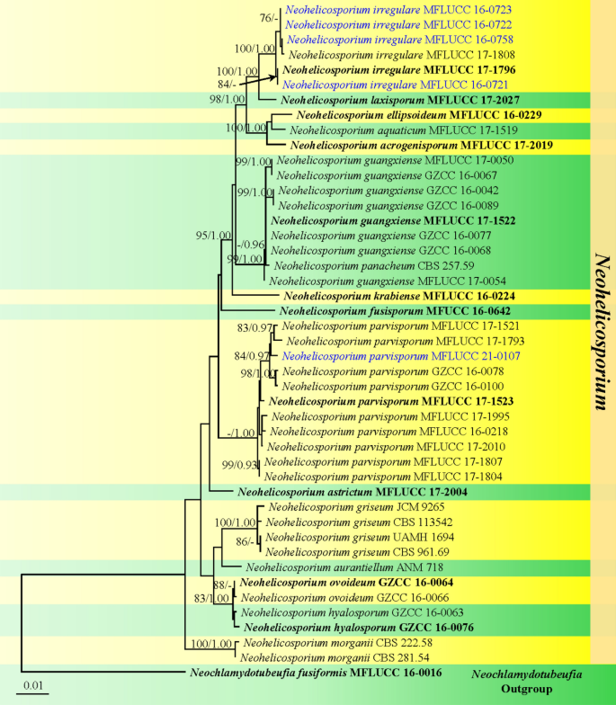 figure 91