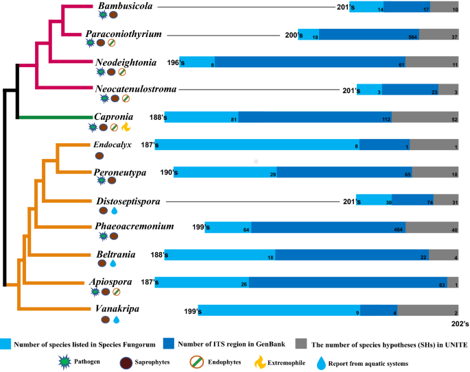 figure 25