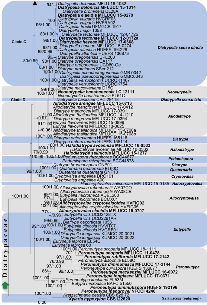 figure 125