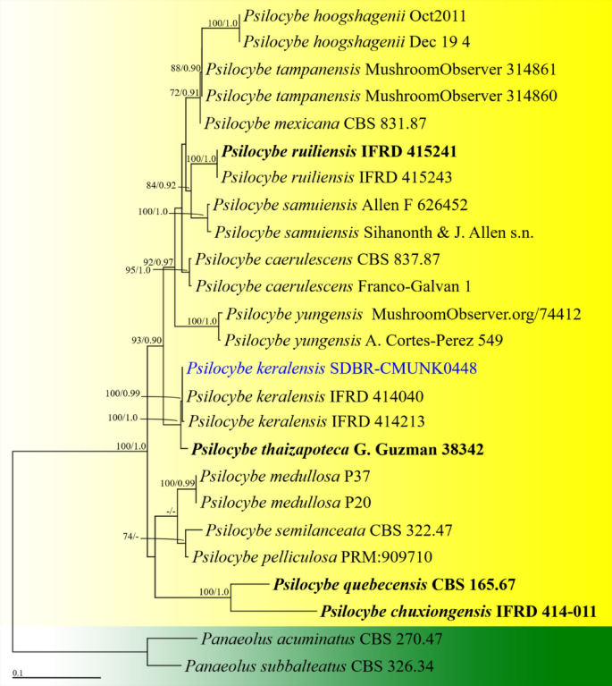 figure 153