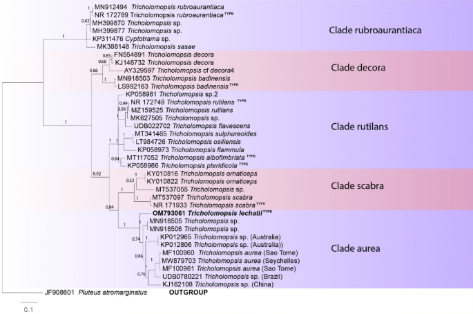 figure 184