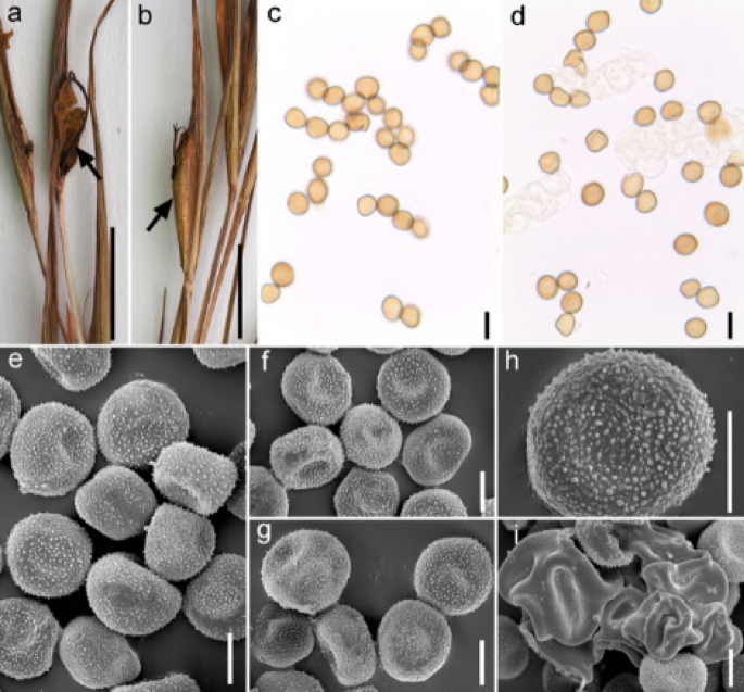 figure 185