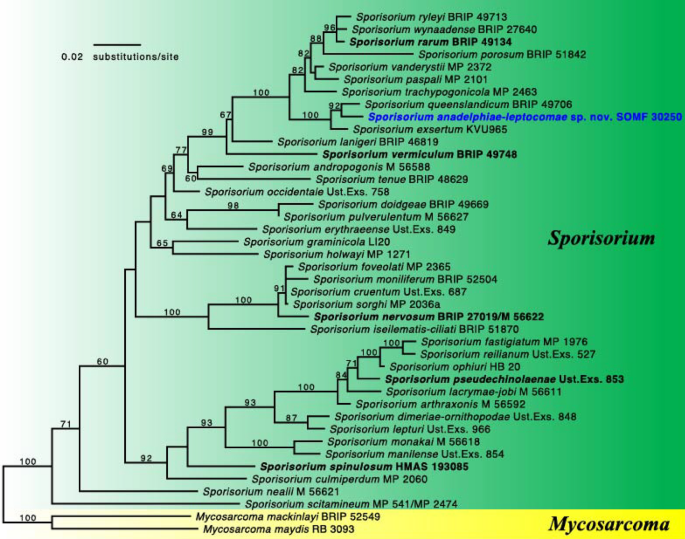 figure 186