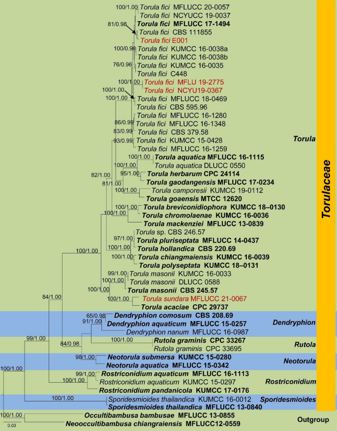 figure 45