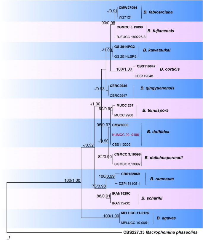 figure 61