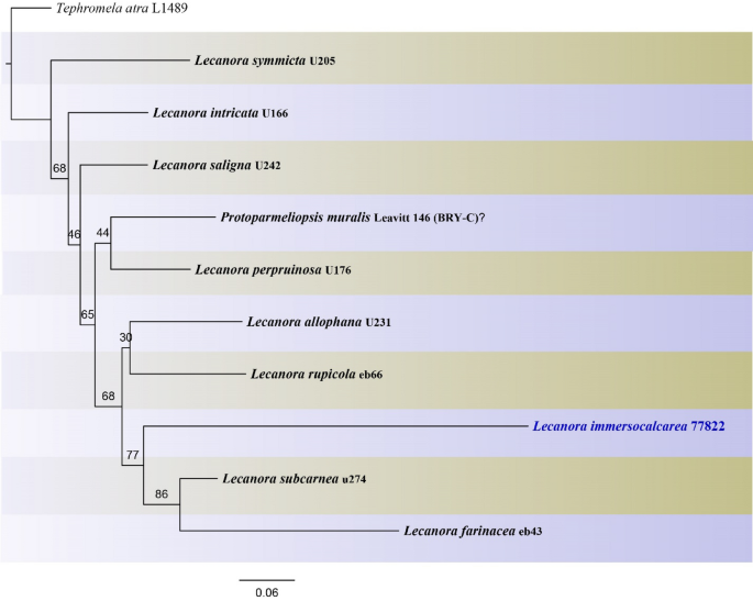 figure 69